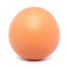 Profilbild von round egg
