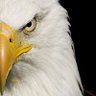 Фото профиля राजस्थानी बाज 🦅
