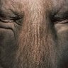 Нихера не эксперт's profile picture
