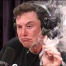 Fake Elon Musk profil fotoğrafı