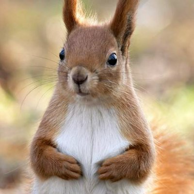 stretchysq's profile picture