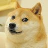 Li0nceau profil fotoğrafı