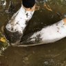 UncomfortablyWetSocks profil fotoğrafı