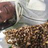🐝 AoifeX ~ the Apiarist 🐝's profile picture