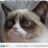 psipsipsi 的头像