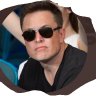 Elon Maseko's profile picture