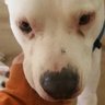 Jeffrey profil fotoğrafı