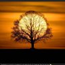 Фото профиля John Devlin