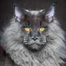Kenneth P.'s profile picture