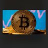Фото профиля Bitcoin Not Crypto