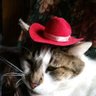 Profilbild von Susan