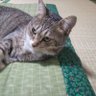 Фото профиля stupidbeover