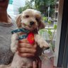 Graciela Ellers profil fotoğrafı