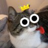 donpatches's profile picture