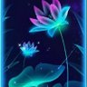 moonstone 的头像