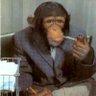 MonkeyEsq's profile picture