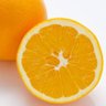 Фото профиля Orange