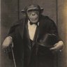 Dr. Bananas profil fotoğrafı