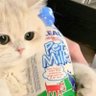 真不懒 的头像