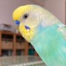 きよ 的头像