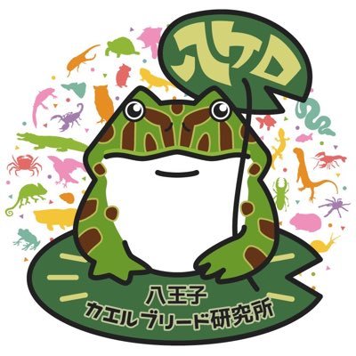kaeruichido's profile picture