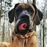 Thomas Brucksch profil fotoğrafı
