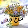 علي كامل الركابي 的头像