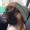 CATIORO $uicideBoy$ profil fotoğrafı
