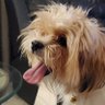 Lucy Mae profil fotoğrafı