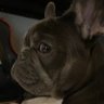 Skip!'s profile picture