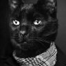 Max Akino's profile picture