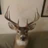 Mike Barrett's profile picture