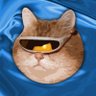 • profil fotoğrafı