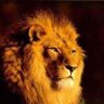🇰🇼 غريب المواطنه 🇵🇸 profil fotoğrafı