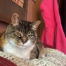 Jas profil fotoğrafı
