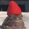 DuckSlapperSupreme's profile picture