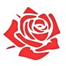 Red Rose Chill 的头像