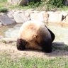 ゆき 的头像