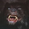 Ganske Kult's profile picture