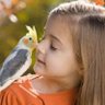 رحيل النرجس profil fotoğrafı