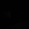 Tim Stangle's profile picture