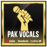 PakVocals profil fotoğrafı