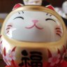 Profilbild von まえきょう