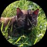 cheyenne 🇨🇵 🇺🇦's profile picture