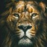 Marc's profile picture