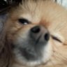 Nic✨🍀AU & Fics📌's profile picture
