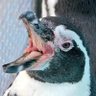 Profilbild von hank