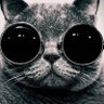 Фото профиля Shameless Cat