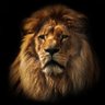 Profilbild von ToJo 🦁⚽️🏏🎸🎹🥁