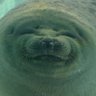 たなつよlol's profile picture